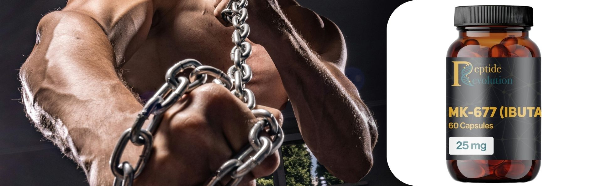 does MK 677 burn fat