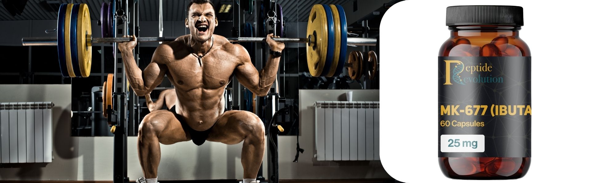 ibutamoren belly fat