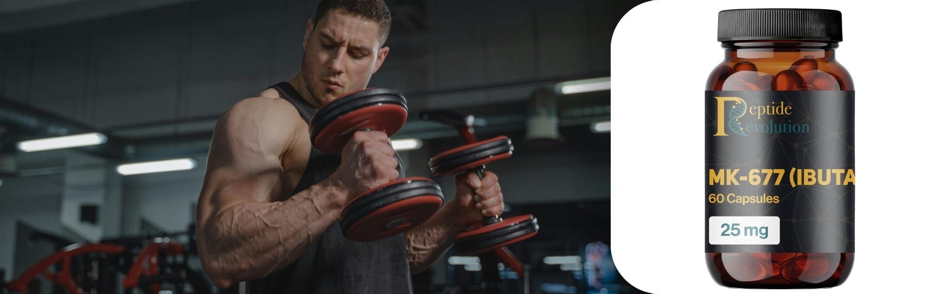 ibutamoren muscle growth experiences